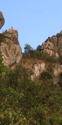 Private Half Day Tour: The Spirit of Lion Rock Hong Kong